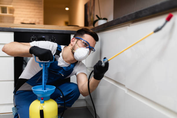 Best Exterminator Services  in Grand Point, LA