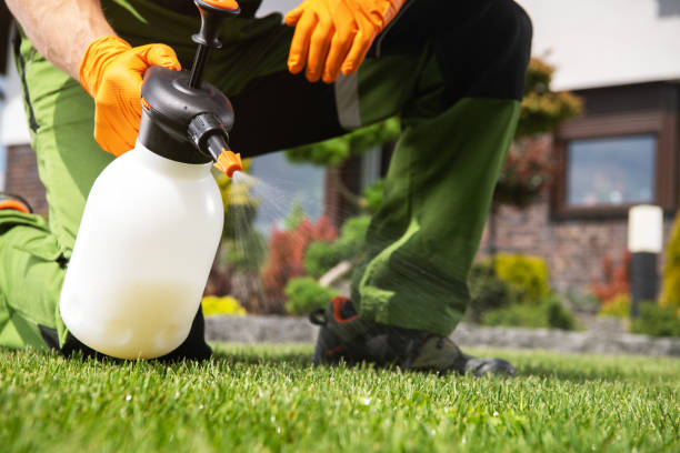 Best Residential Pest Control  in Grand Point, LA